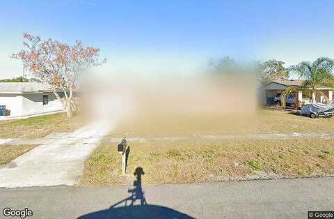 Danbury, SPRING HILL, FL 34606