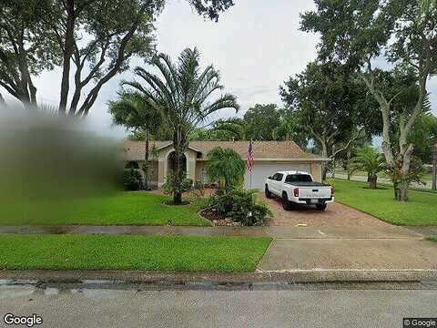 Sugar Maple, ROCKLEDGE, FL 32955