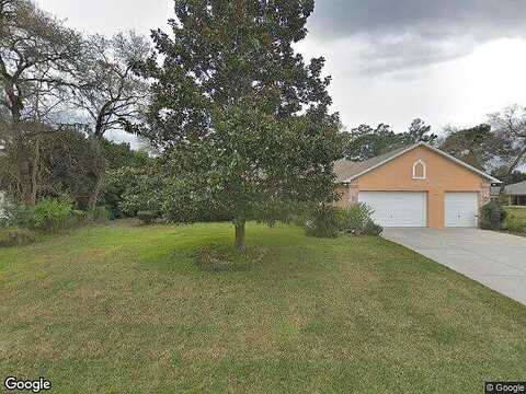 Rudi, SPRING HILL, FL 34609