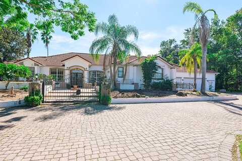 Foxtail, KISSIMMEE, FL 34746