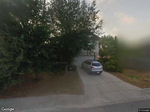 Dandelion, SAN ANTONIO, TX 78245