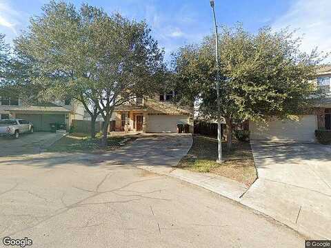 Dandelion, SAN ANTONIO, TX 78245