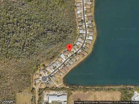 Fiddle Leaf, LAKELAND, FL 33811