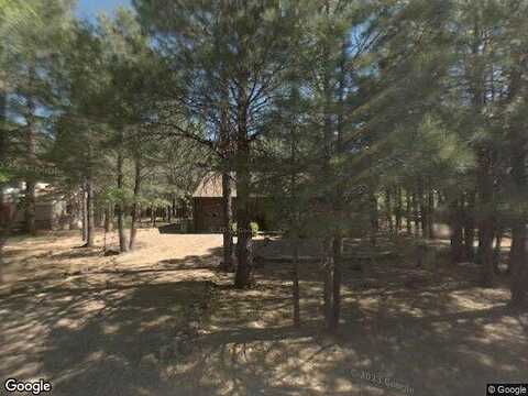 Black Panther, PINETOP, AZ 85935