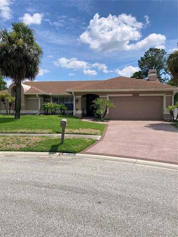 Dunwoody, HUDSON, FL 34667
