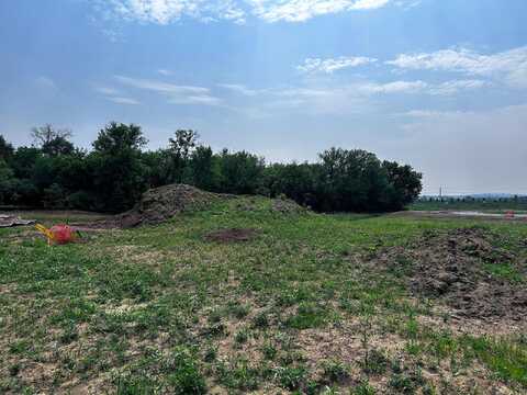 Blazingstar, LAKE ELMO, MN 55042
