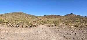 N Elephant Butte Road -, Queen Valley, AZ 85118