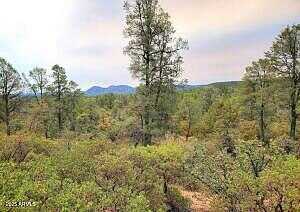 E Underwood Lane 18C, Payson, AZ 85541