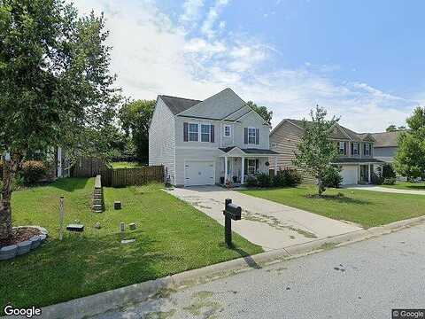 Wingspan, CHAPIN, SC 29036