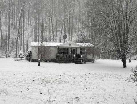 Raccoon Creek, BRANCHLAND, WV 25506