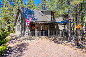 Palomino, PINETOP, AZ 85935