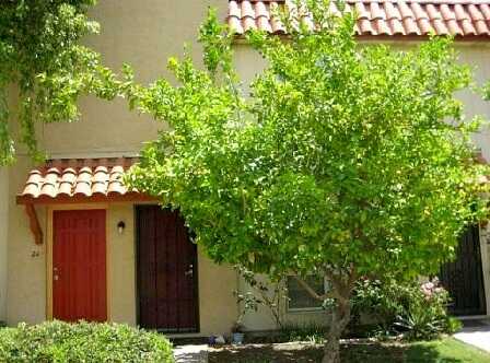 N. Central Ave. 23, Phoenix, AZ 85020