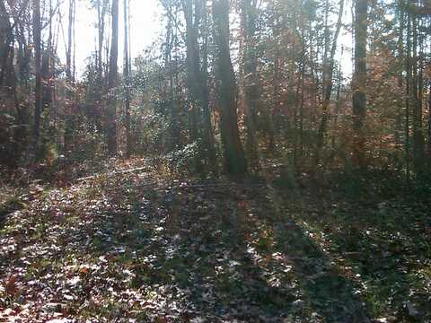 Lot 264 Norway Rd, Ruther Glen, VA 22546