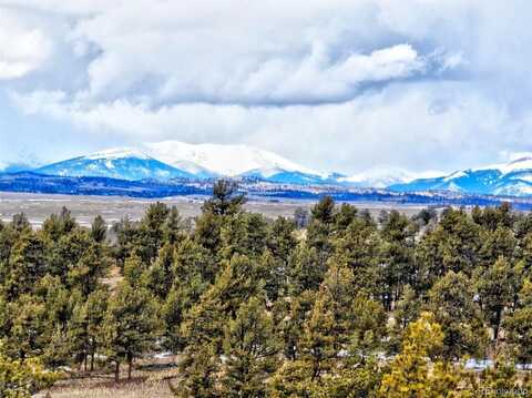 928 Grand Teton Drive, Hartsel, CO 80449