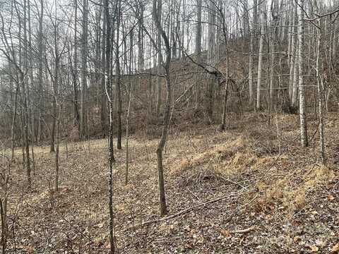 Martins Creek Road, Barnardsville, NC 28709