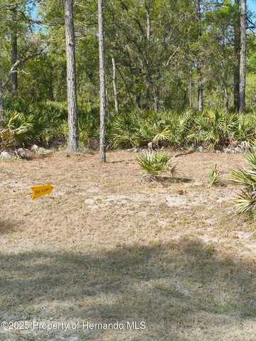 18235 PARAKEET Road, Weeki Wachee, FL 34614
