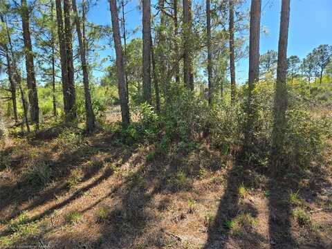 279 Blue Moon Avenue, Lake Placid, FL 33852