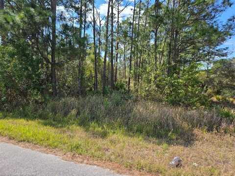 118 Blue Horizon Drive, Lake Placid, FL 33852