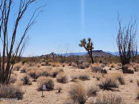 E Mission Rd lot: 135, Yucca, AZ 86438