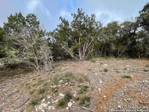126 Silverado, New Braunfels, TX 78132