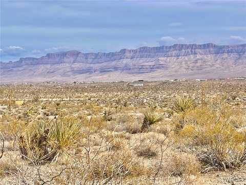 1650 W Safari Drive, Meadview, AZ 86444