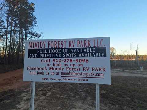 872 Penny Morris Rd, Baxley, GA 31513