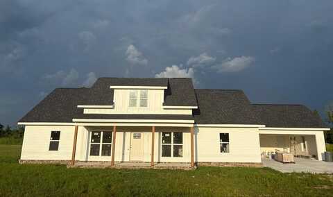4419 Altamaha School Rd, Baxley, GA 31513