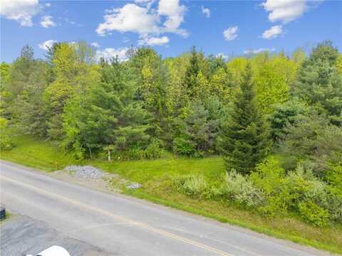 Lot 7C Blackman Hill Road, Caroline, NY 13736