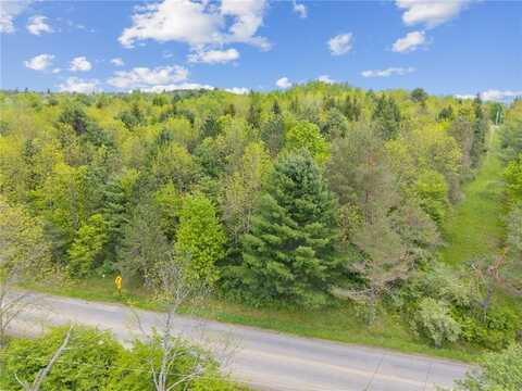 Lot 7B Blackman Hill Road, Caroline, NY 13736