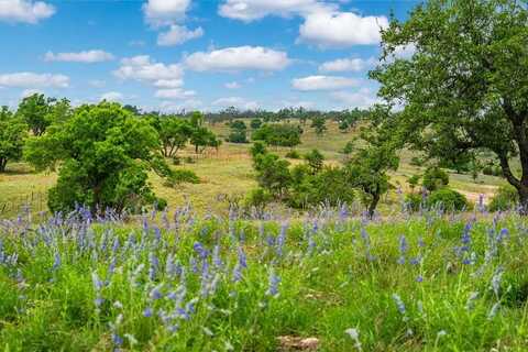 Lot 48 Badger Ridge Rd, Fredericksburg, TX 78624