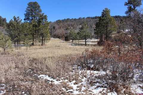 269 Dylan Drive, Pagosa Springs, CO 81147