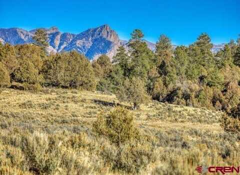 X Tall Pines Place, Pagosa Springs, CO 81147