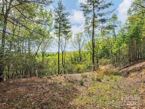 Winterberry Drive lot: #56, Hendersonville, NC 28739