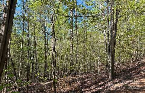 V/L #13 Deer Crossing Drive, Marion, NC 28752