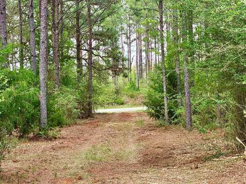 0 COUNTY ROAD 22, Headland, AL 36345