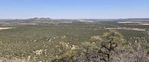 Lot 6 Crow Bait Trail, Corona, NM 88318