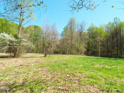 0000 Lark Road, Newport, TN 37821