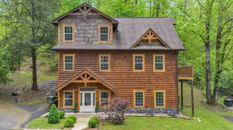 2378 Alpine Village Way, Pigeon Forge, TN 37863