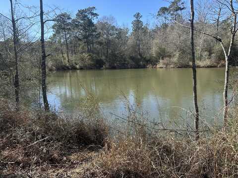 123 Oakwood Dr., Hattiesburg, MS 39402