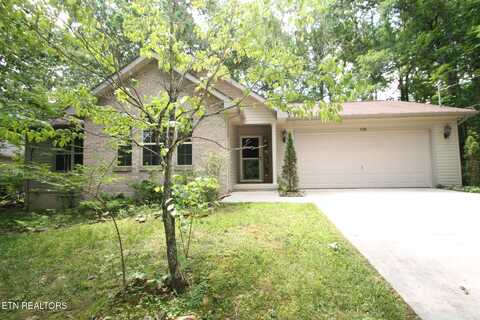 119 Anglewood Drive, Fairfield Glade, TN 38558