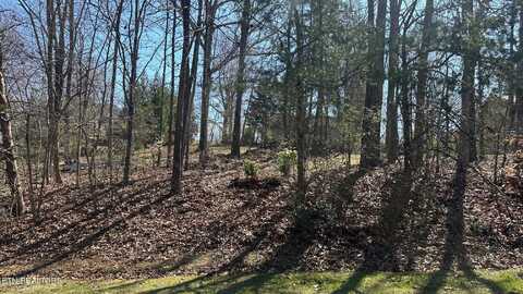 129 Timberlake Drive, Greenback, TN 37742