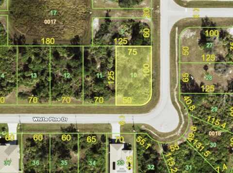 141 WHITE PINE DRIVE, ROTONDA WEST, FL 33947