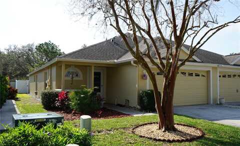 19432 HASKELL PLACE, LAND O LAKES, FL 34638