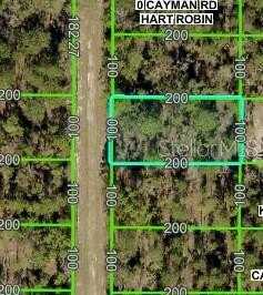 16464 CAYMAN ROAD, BROOKSVILLE, FL 34614