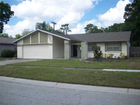 13806 CAPITOL DRIVE, TAMPA, FL 33613