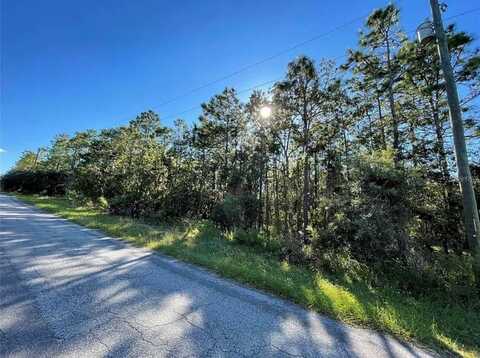 16 Mayten Court North, Homosassa, FL 34446