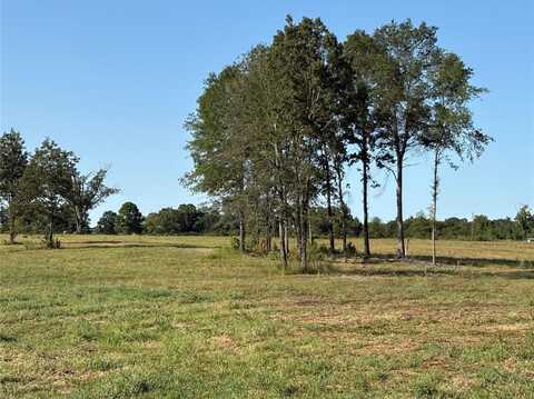Tbd County Road 2425, Como, TX 75431
