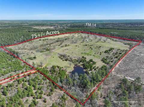 Tbd CR 3875, Mineola, TX 75773