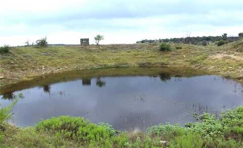 22393 County Road 489, May, TX 76857