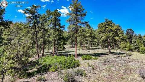 1875 S Tallahassee Trail, Canon City, CO 81212